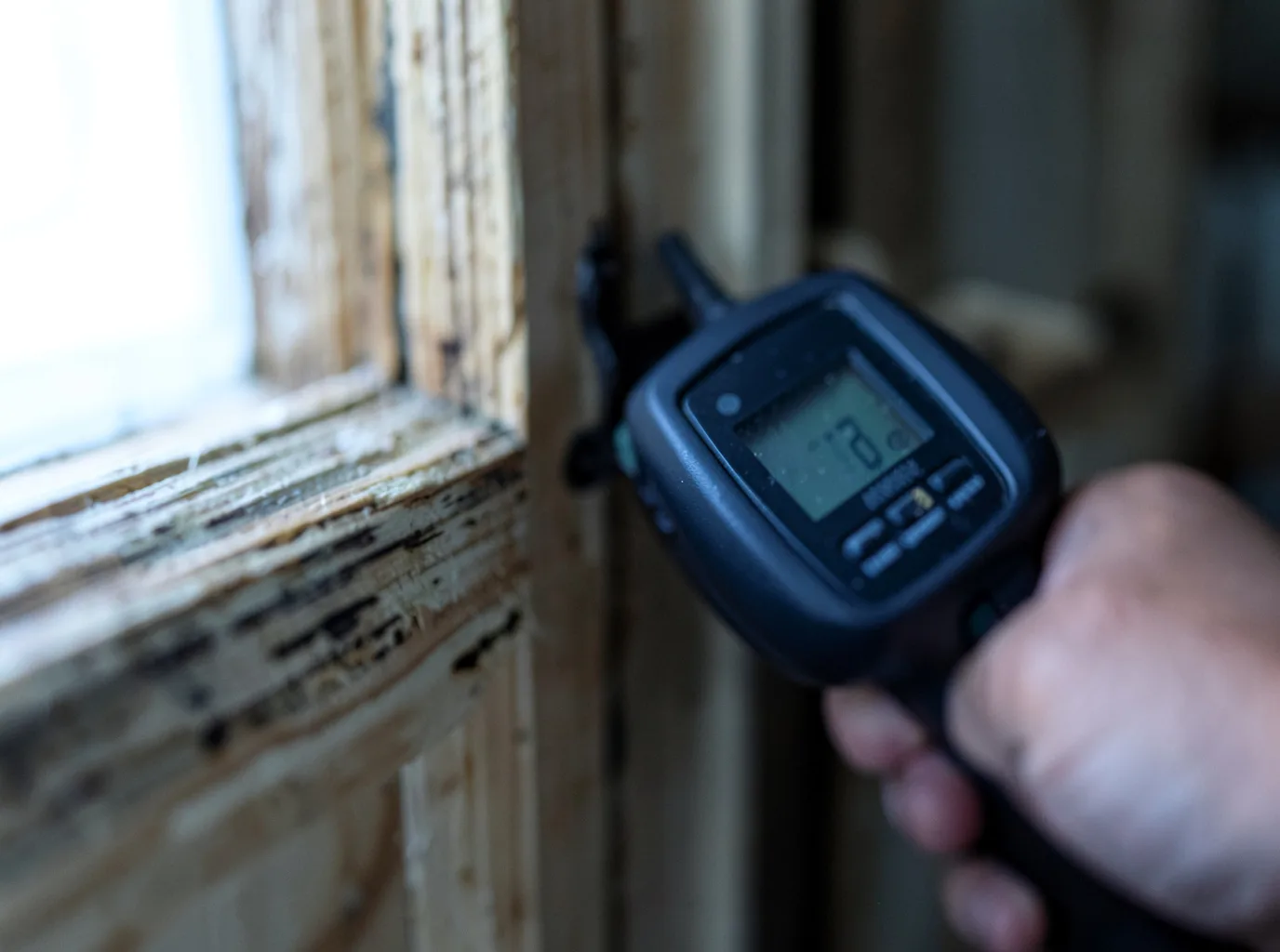 Moisture Inspection And Documentation in Holyoke, CO